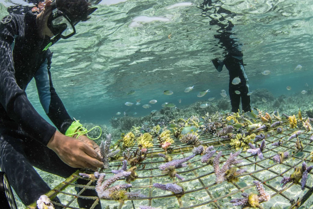 Navigating Career Currents: Where Do Marine Biologists Work?